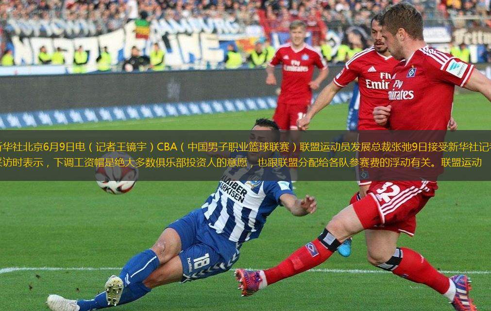 期待他能继